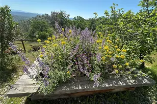 41915 John Muir, Coarsegold, CA 93614 - Photo 68