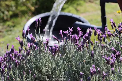 41915 John Muir, Coarsegold, CA 93614 - Photo 48