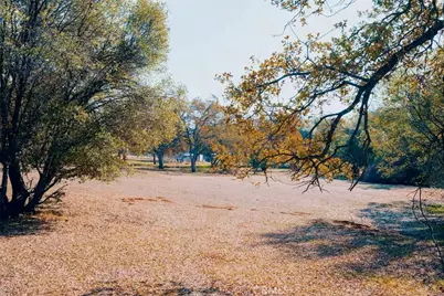 5615 Bear Trap Drive, Mariposa, CA 95338 - Photo 32