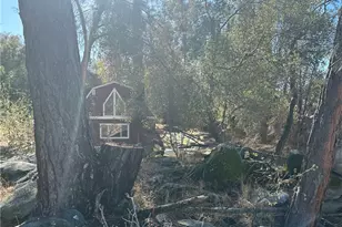 28923 Hwy 41, Coarsegold, CA 93614 - Photo 36