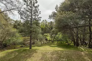 51739 Quail Run, Oakhurst, CA 93644 - Photo 12