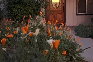 1674 W Bullard, Fresno, CA 93711 - Photo 6