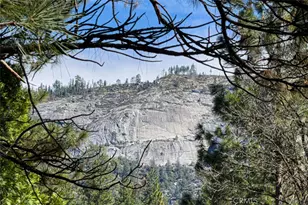 2701 Spelt, Yosemite, CA 95389 - Photo 68