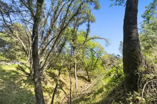 22666 Lower Quail Mine Rd, Sonora, CA 95370 - Photo 18