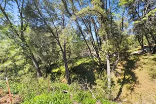 22666 Lower Quail Mine Rd, Sonora, CA 95370 - Photo 6