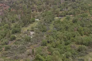 52865 N Hwy 245, Miramonte, CA 93641 - Photo 40