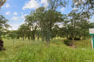 10580 Thompson, Valley Springs, CA 95252 - Photo 52