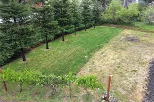 41860 Rd 222, Oakhurst, CA 93644 - Photo 4