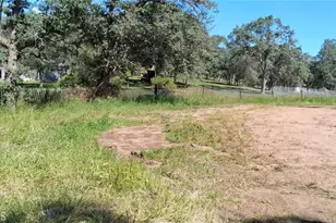 35778 Wells Rd, Coarsegold, CA 93614 - Photo 6