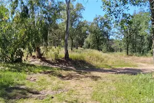 35778 Wells Rd, Coarsegold, CA 93614 - Photo 4