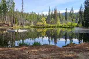 46336 Silvertip, Mono Hot Springs, CA 93643 - Photo 70