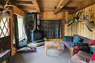46336 Silvertip, Mono Hot Springs, CA 93643 - Photo 10