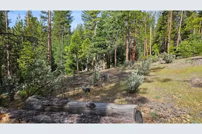 46336 Silvertip, Mono Hot Springs, CA 93643 - Photo 66