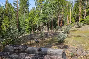 46336 Silvertip, Mono Hot Springs, CA 93643 - Photo 66