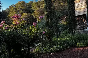 39309 Forest Park Ln, Oakhurst, CA 93644 - Photo 4