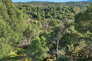 39309 Forest Park Ln, Oakhurst, CA 93644 - Photo 6