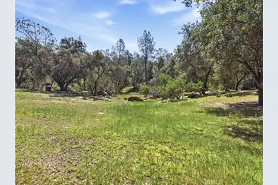 42704 Deep Forest, Coarsegold, CA 93614 - Photo 48