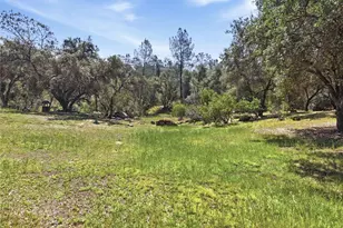 42704 Deep Forest, Coarsegold, CA 93614 - Photo 48