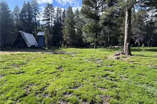 10 Beasore Rd, Bass Lake, CA 93604 - Photo 44