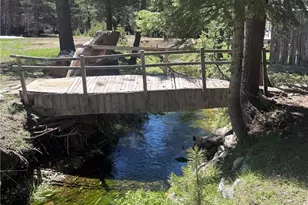 10 Beasore Rd, Bass Lake, CA 93604 - Photo 22