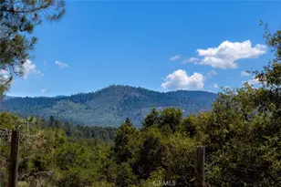 43016 Sunshine Mountain, Oakhurst, CA 93644 - Photo 40