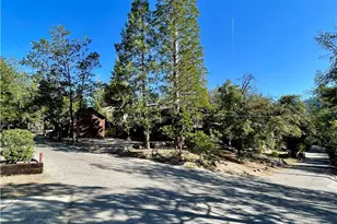 54825 Willow, Bass Lake, CA 93604 - Photo 34