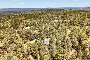 5040 Cougar Ln, Georgetown, CA 95634 - Photo 30