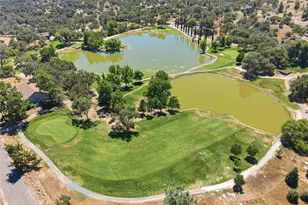 42781 Badger Cir Dr, Coarsegold, CA 93614 - Photo 62