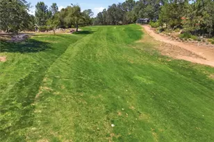 42781 Badger Cir Dr, Coarsegold, CA 93614 - Photo 48