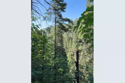 0 Ca-245, Miramonte, CA 93641 - Photo 40
