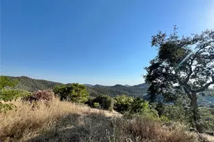 46396 Redwing, Squaw Valley, CA 93675 - Photo 8