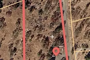 46396 Redwing, Squaw Valley, CA 93675 - Photo 36
