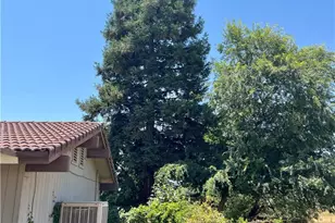 32644 Quail, Squaw Valley, CA 93675 - Photo 24
