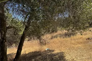 31360 Rd 416, Coarsegold, CA 93614 - Photo 20