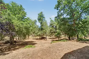 5627 Buckskin Rd, Mariposa, CA 95338 - Photo 18