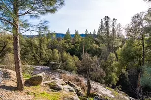 38614 Bon Veu, Oakhurst, CA 93644 - Photo 32