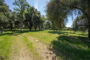 408901 N Fork Rd, Coalinga, CA 93210 - Photo 40