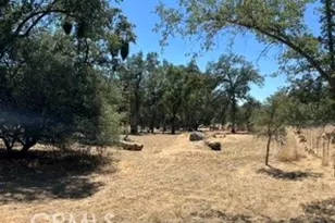 50294 Chuckwagon, Squaw Valley, CA 93675 - Photo 44