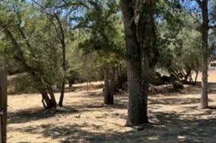 50294 Chuckwagon, Squaw Valley, CA 93675 - Photo 40