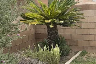 43963 Glenraven Rd, Lancaster, CA 93535 - Photo 14