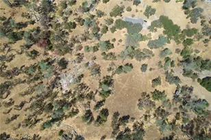 29703 Corral Ct, Coarsegold, CA 93614 - Photo 48