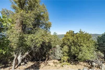 51300 Buckskin, Oakhurst, CA 93644 - Photo 6