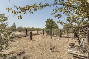 9016 E Dinuba, Selma, CA 93662 - Photo 50