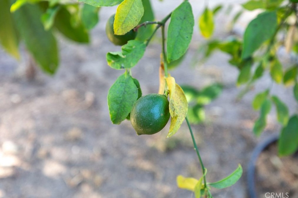 812 Doran St, Glendale CA  91203-0015 exterior