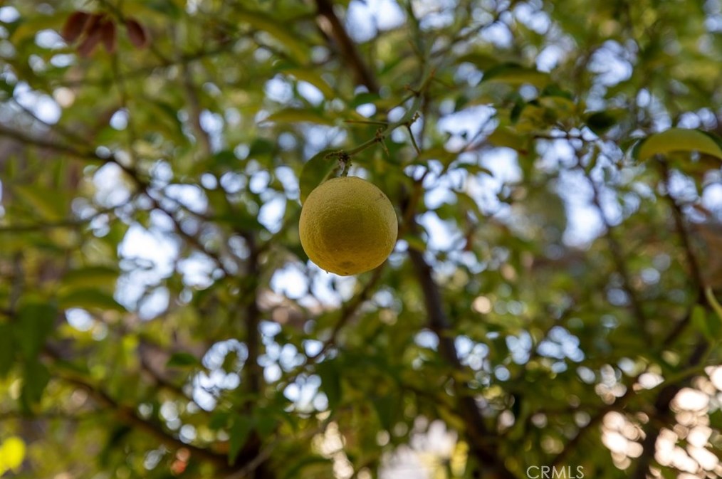 812 Doran St, Glendale CA  91203-0015 exterior