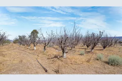 49750 Three Points Road, Lancaster, CA 93536 - Photo 44