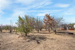 49750 3 Points Rd, Lancaster, CA 93536 - Photo 40