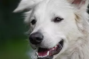 [Address not provided], Glendale, CA 91202 - Photo 1