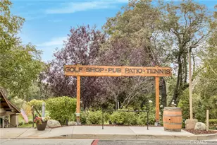 875 Brentwood Dr, Lake Arrowhead, CA 92352 - Photo 34