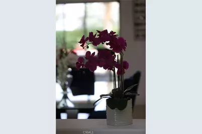 14 Calle Lantana, Palm Desert, CA 92260 - Photo 24